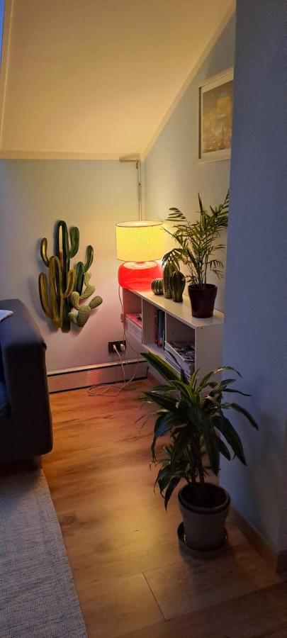 La Mia Mansardina Apartamento Collegno Exterior foto